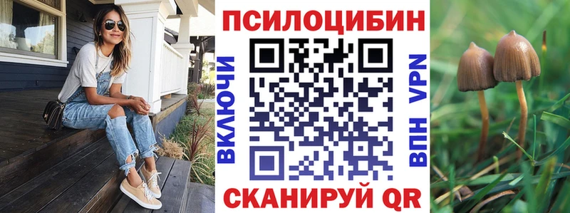 Псилоцибиновые грибы Cubensis  блэк спрут онион  Новый Уренгой 