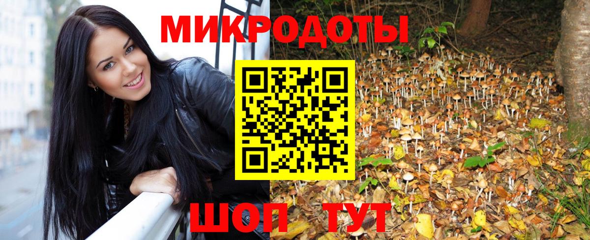 Новый Уренгой  Псилоцибиновые грибы мицелий  Вход с VPN 